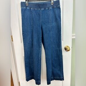 Talbots Blue Flare & Wide Leg Jeans